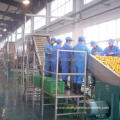 Automatic fruit and vegetables photoelectric sorting machine